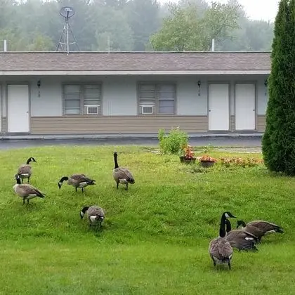 Becket Motel