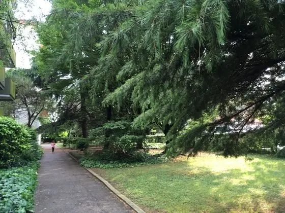 Bed and Breakfast Bio Salix