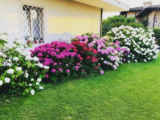 Bed & Breakfast da Beatrice - Dış Mekan