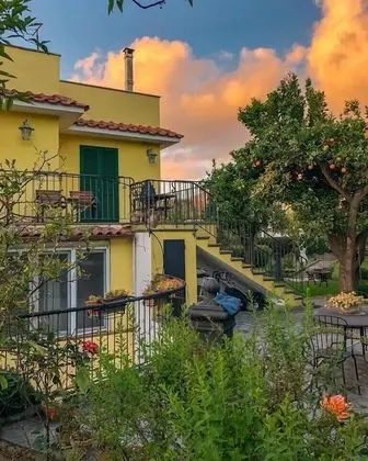 Bed & Breakfast Massico