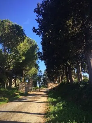 Bed & Breakfast Podere La Pace - Dış Mekan