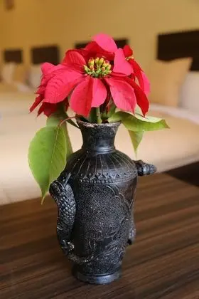 Bed and Breakfast Thamel - İç Mekan
