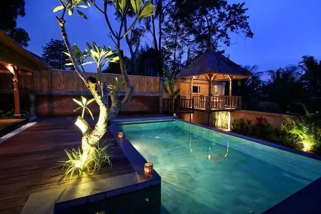 Villa Bedauh Ubud - Havuz