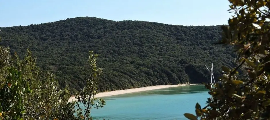 Bedo House Beach Front - Plaj
