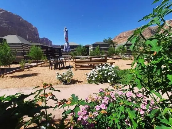 Bedouin village camp