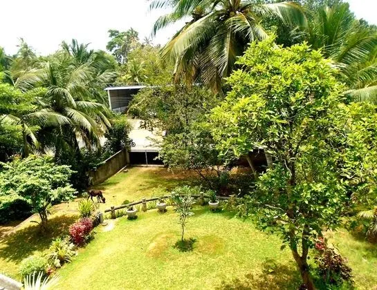 Bee Line Home Stay