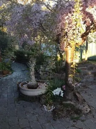 Beechworth Gorge Walk Guest House - Dış Mekan