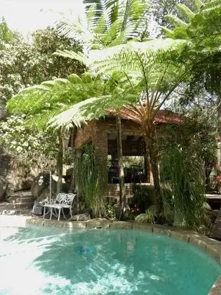 Beetleloop Guest House - Havuz