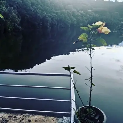 Begnas Lake front guest house