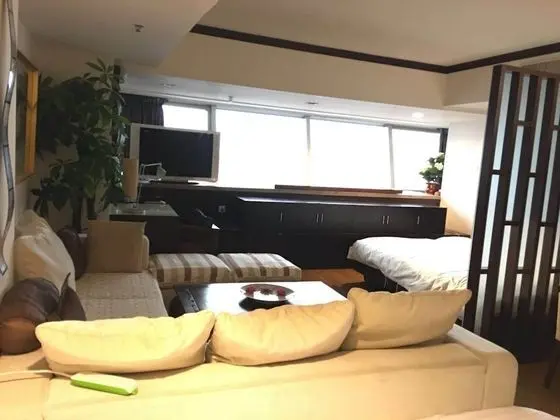 Beijing New World CBD Apartment