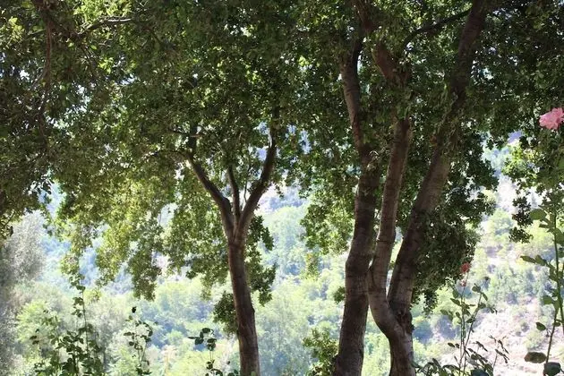 Beit el Deek