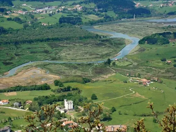 Bekale