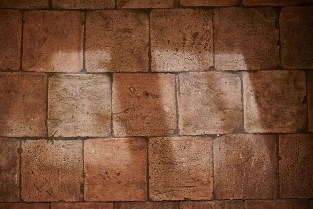 Bel Air Maison D'hôtes des Landes - Dış Mekan