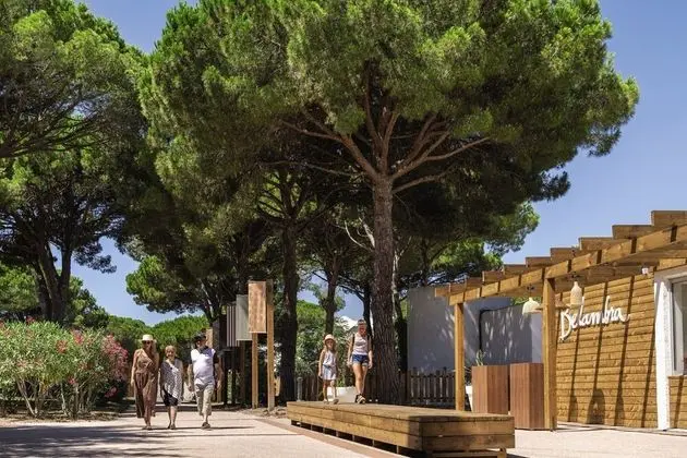Belambra Clubs Résidence La Grande Motte-Petite Camargue - Presqu'île Du Ponant - Lobi