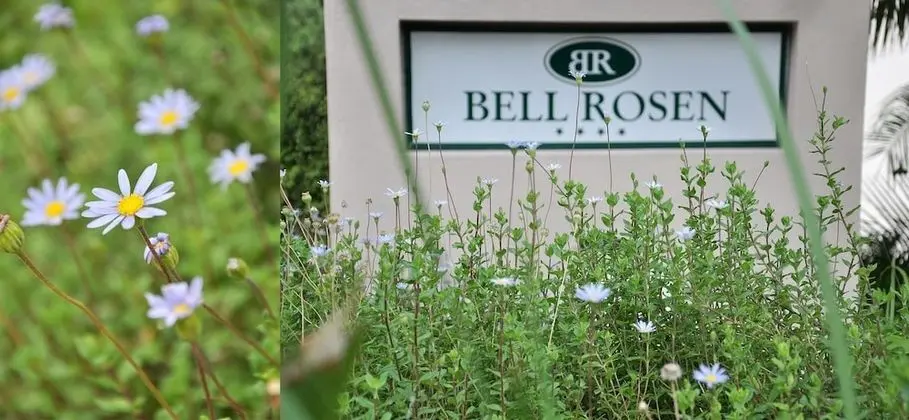 Bell Rosen Guesthouse - Dış Mekan