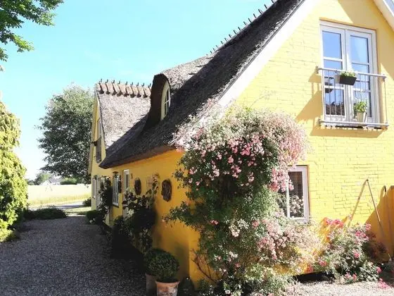 Bella Bed and Breakfast Stevns