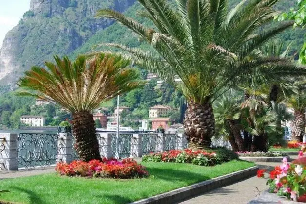 Bella Menaggio Panoramica - Dış Mekan
