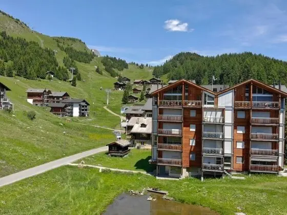 Bella Vista Penthouse 51 Riederalp