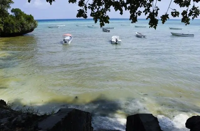 Bella Vista Resort Zanzibar - Dış Mekan