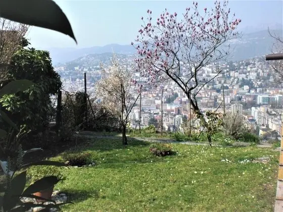 Bellavista-albonago in Aldesago - Oda