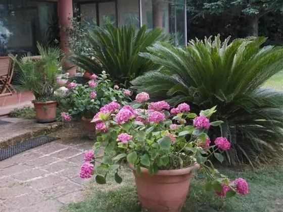 Bellavista Country House - Genel