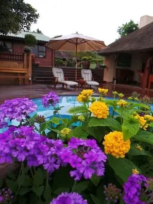 Belle Forêt Guest Farm and Function Venue - Havuz