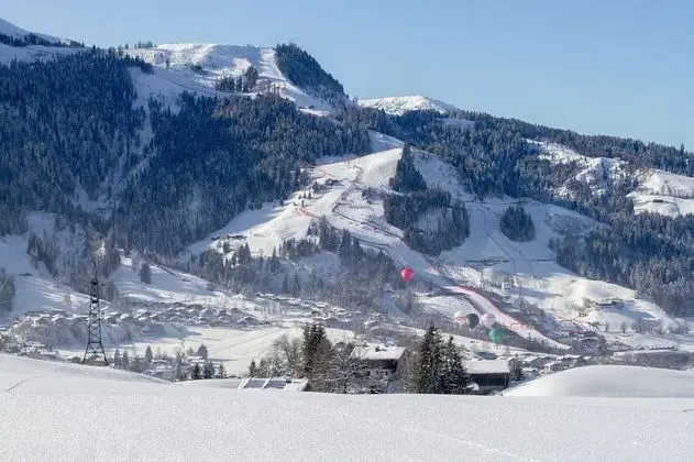 Belle Kitz Pure