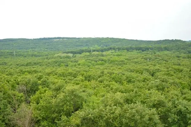 Villa Bellevue -Golden Sands Nature Park - Genel