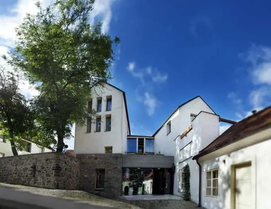 Bellevue Hotel Karlov - Genel
