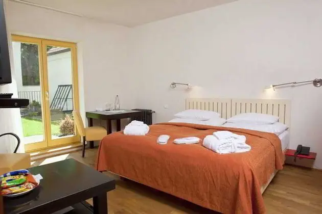Bellevue Hotel Karlov - Oda
