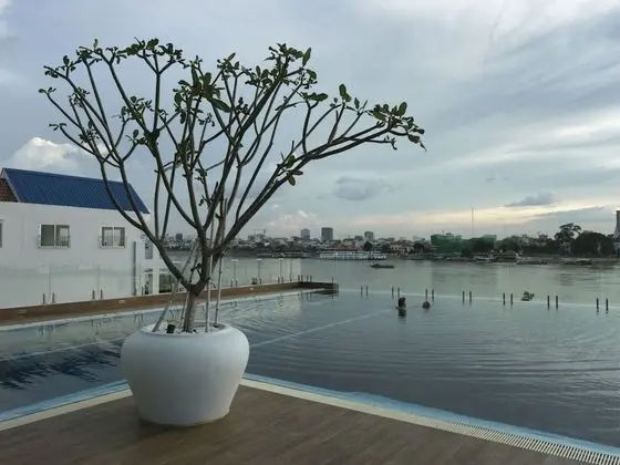 Bellevue Serviced Apartments - Havuz