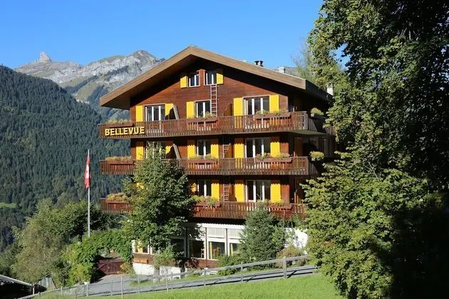 Hotel Bellevue Wengen - Best view in town
