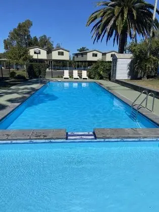 Bellinger River Tourist Park - Havuz