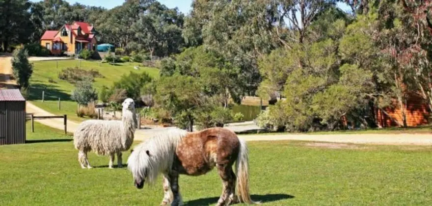 Bells Estate Great Ocean Road Cottages