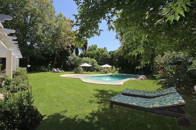 Beluga of Constantia Guest House - Havuz