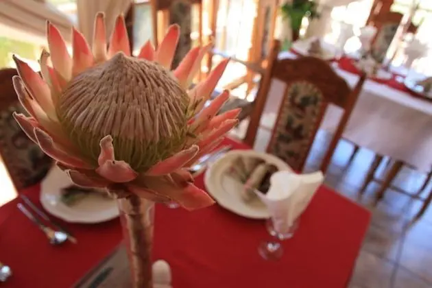 Belurana Collection Victoria Manor - Yerinde Yemek