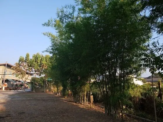 Benjapirom Private House - Dış Mekan