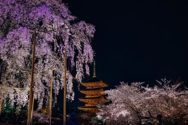 Ben's Guesthouse Kyoto - Dış Mekan