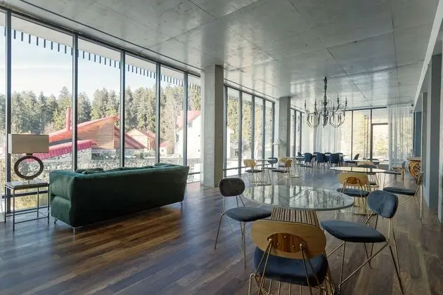 The Berg Hotel