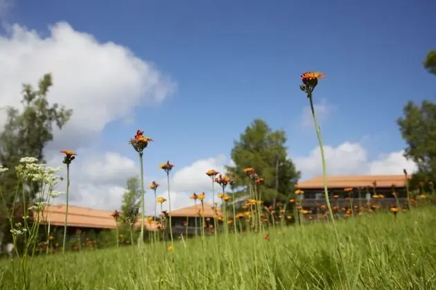 Berghotel Sankt Andreasberg - Dış Mekan