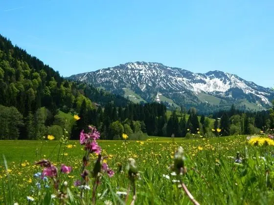 Berg- und Aktivhotel Edelsberg - Dış Mekan