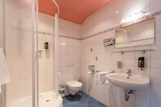Berggasthof Butterberg - Banyo Tipleri