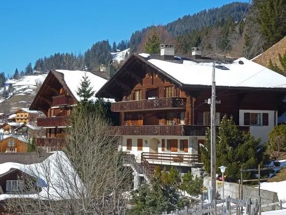 Bergkristall Lauterbrunnen - Oda