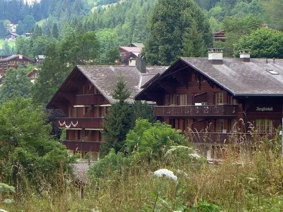 Bergkristall Lauterbrunnen - Oda
