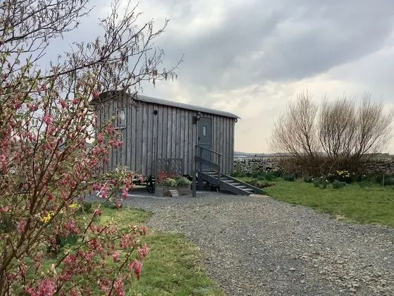 Bespoke Hand Built Shepherds Hut in Dunbeath - Öne Çıkan Resim