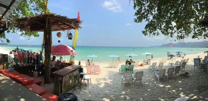 Best Beach Bungalows