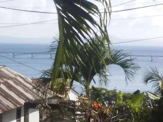 Best bed and Breakfast in Samana Breakfast Included