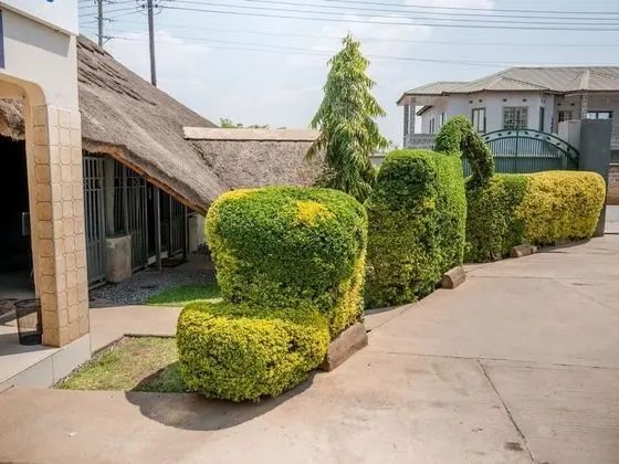 Best Bed Lodge