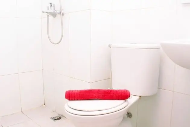 Best Deal And Comfy Studio Tamansari Mahogany Apartment - Banyo Tipleri