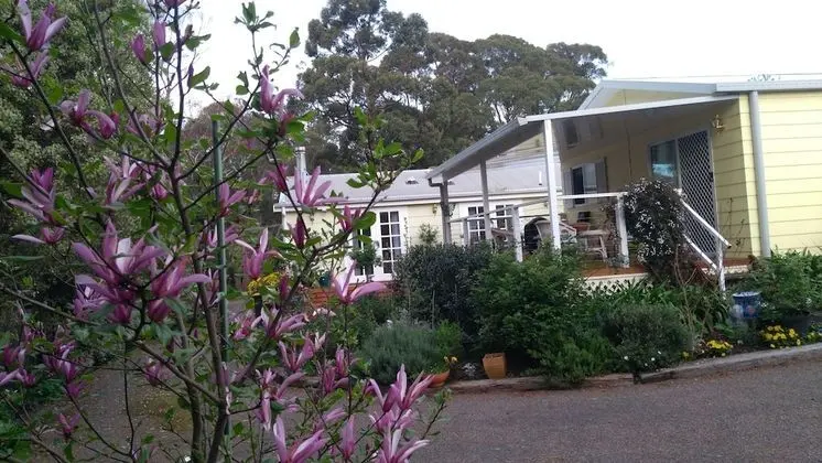 The Best Exotic Magnolia Cottage